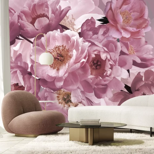 Papier peint  Fleurs de pivoines roses de près