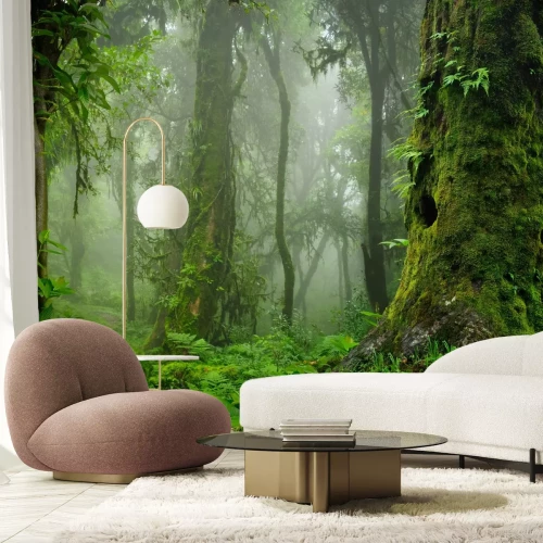 Papier peint  Forêt Verte avec des Arbres dans le Brouillard