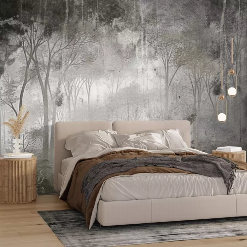 Papier peint  Paysage mystérieux d'une forêt dense