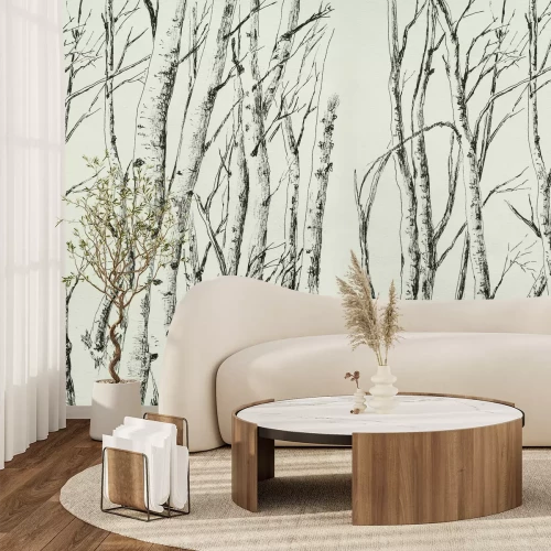Papier peint  Dessin des arbres d'une forêt de bouleaux