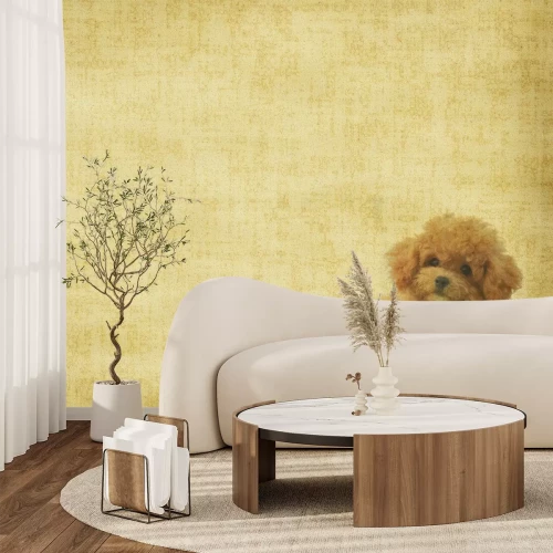 Papier peint  Caniche sur fond texturé vintage