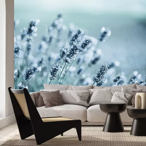 Papier peint  Fleurs de lavande givrés