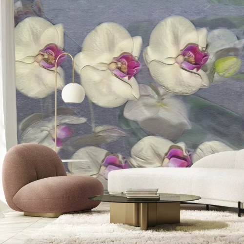 Papier peint  Pétales flous d'orchidée sur fond gris