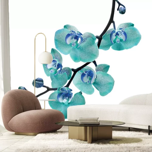 Papier peint  Branche avec une orchidée bleue