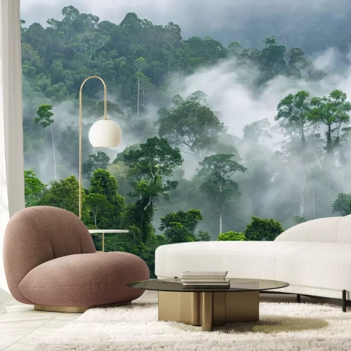 Papier peint  Brume matinale dans la forêt tropicale en Afrique