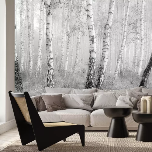Papier peint  Forêt de bouleaux en noir et blanc