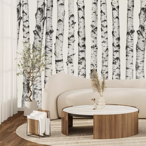 Papier peint  Troncs de bouleaux sur fond beige clair