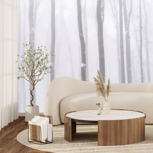 Papier peint  Bouleaux dans le brouillard paysage d'hiver