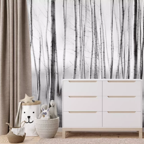 Papier peint  Illustration d'une forêt de bouleaux monochrome