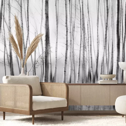 Papier peint  Illustration d'une forêt de bouleaux monochrome