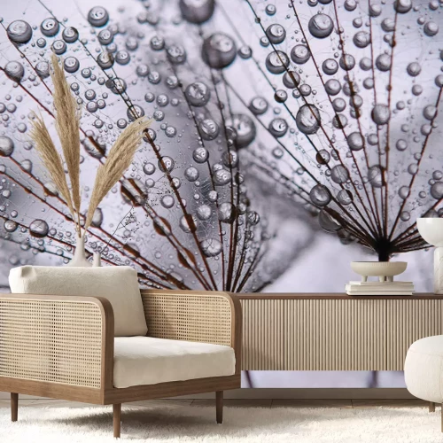 Papier peint  Graines de pissenlit avec gouttes d'eau en gros plan