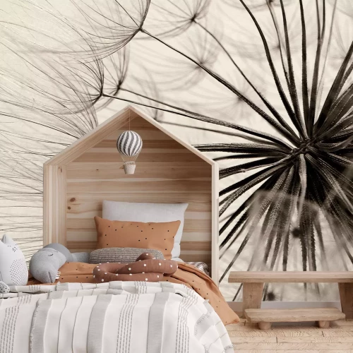 Papier peint  Fleur rétro pissenlit en gros plan