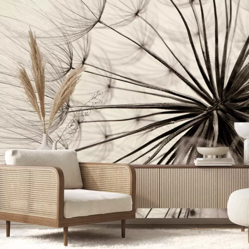 Papier peint  Fleur rétro pissenlit en gros plan