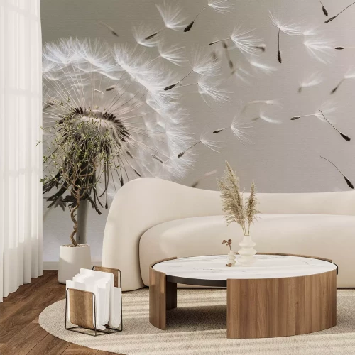 Papier peint  Pissenlit avec graines dans le vent graphique botanique