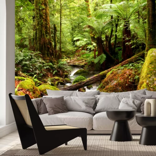 Papier peint  Paysage tropical avec végétation et ruisseau forestier