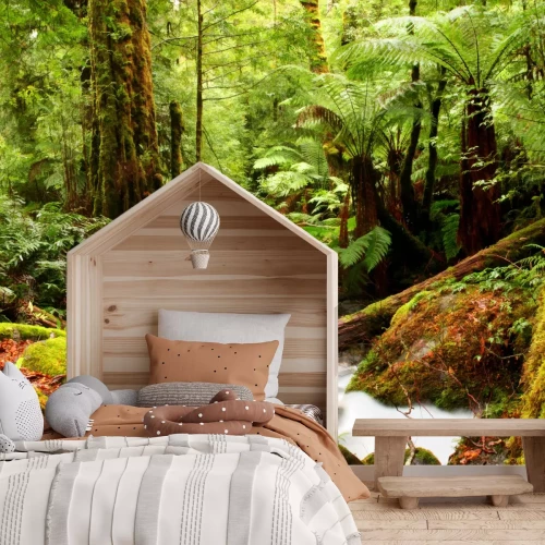 Papier peint  Paysage tropical avec végétation et ruisseau forestier