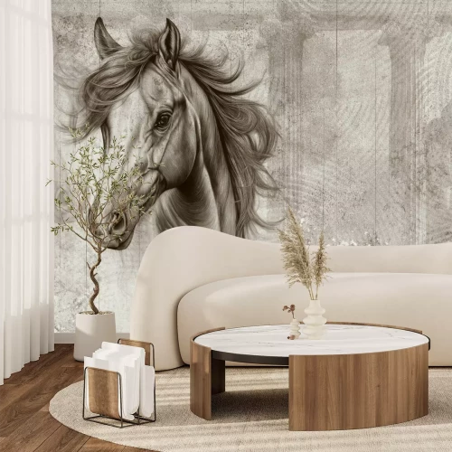 Papier peint  Portrait de la tête d’un cheval sur le mur