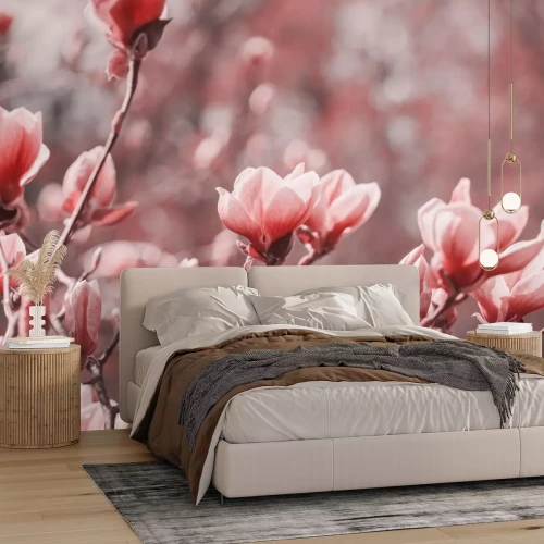 Papier peint  Fleurs de magnolia roses sur fond flou