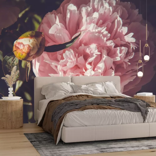 Papier peint  Fond floral avec des pivoines