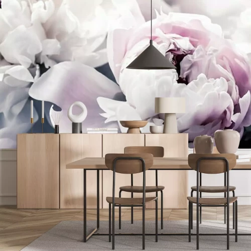 Papier peint  Boutons de pivoine rose pastel