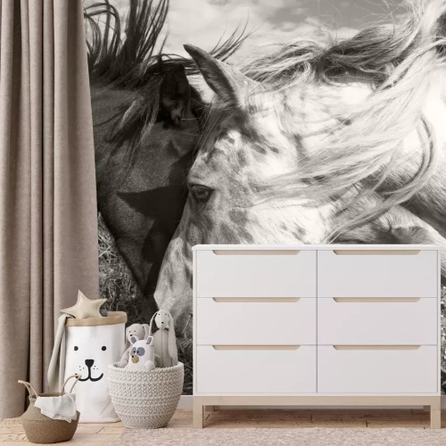 Papier peint  Deux chevaux en sépia