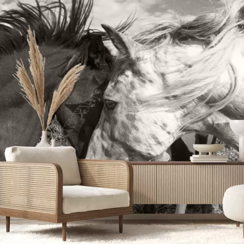Papier peint  Deux chevaux en sépia