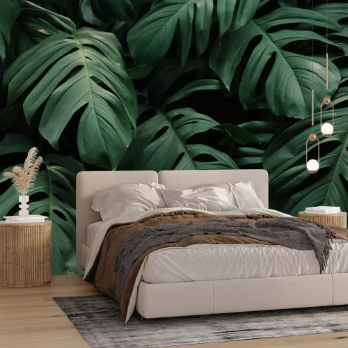 Papier peint  Grandes feuilles de monstera sur fond sombre