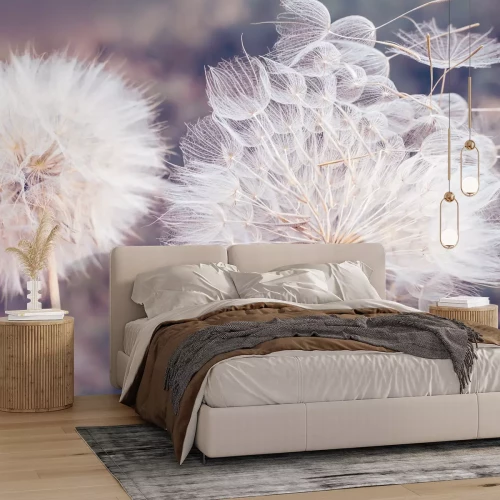 Papier peint  Pissenlits sur fond flou