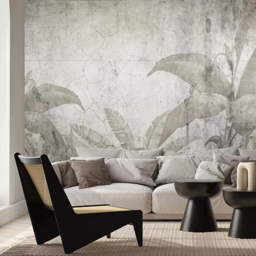 Papier peint  Feuilles de Plantes Tropicales sur Fond en Béton