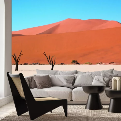 Papier peint  Arbres du désert sur fond de collines