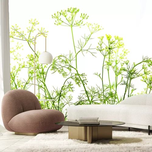 Papier peint  Prairie sauvage avec des plantes vertes