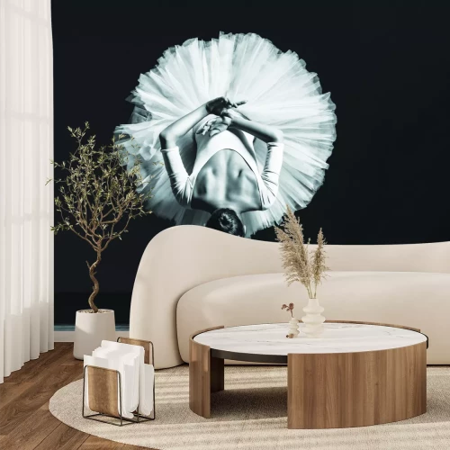 Papier peint  Jeune ballerine en couleurs noir et blanc