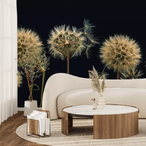 Papier peint  Pissenlits vus de près