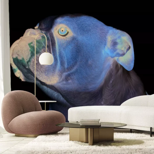 Papier peint  Bouledogue anglais sur fond blanc