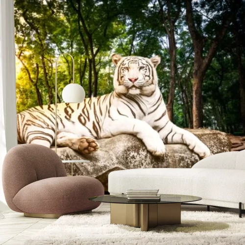 Papier peint  Young white bengal tiger in the act of relax on stone at natural forest