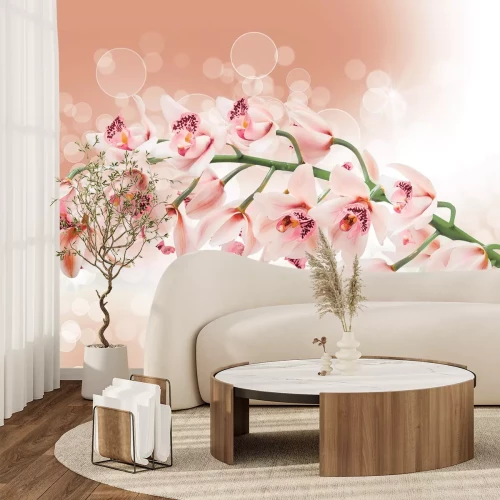 Papier peint  Branche avec des fleurs d'orchidée parmi des bulles