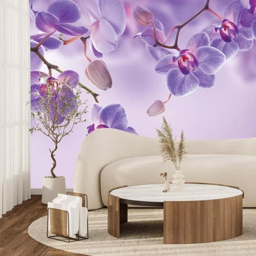 Papier peint  Orchidées violettes suspendues