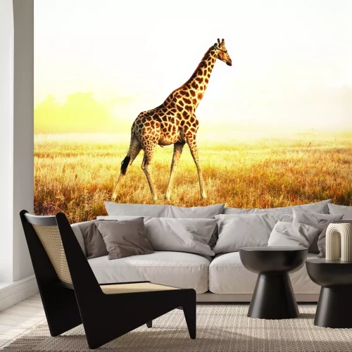 Papier peint  Girafe lors d'un safari ensoleillé