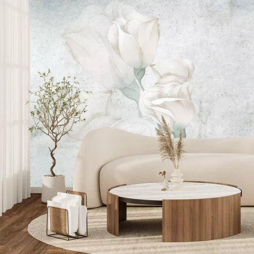 Papier peint  Fleurs de roses blanches sur fond en béton