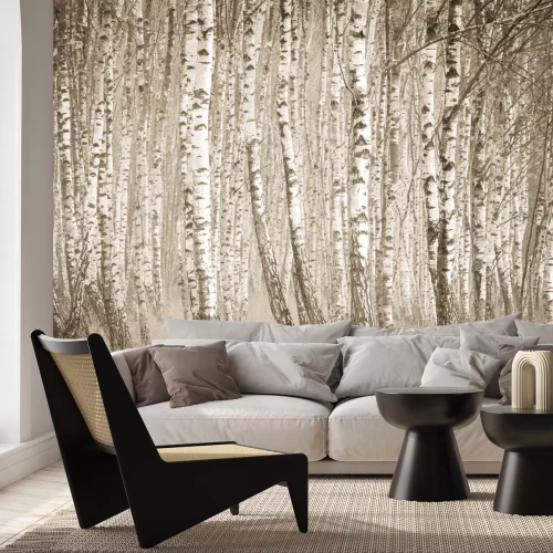 Papier peint  Forêt de bouleaux en tons sépia
