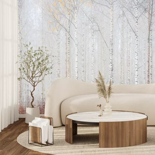 Papier peint  Paysage brumeux de forêt de bouleaux