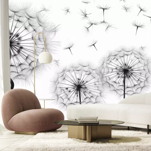 Papier peint  Pissenlits noir et blanc motif botanique moderne