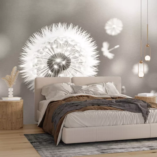 Papier peint  Pissenlit en gros plan sur fond flou