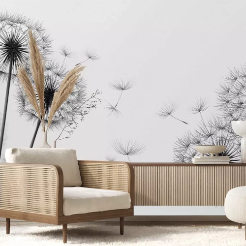 Papier peint  Pissenlits en noir et blanc graphique minimaliste