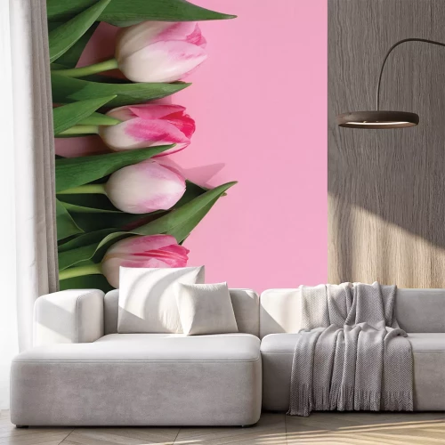 Sticker  Tulipes roses sur fond rose clair