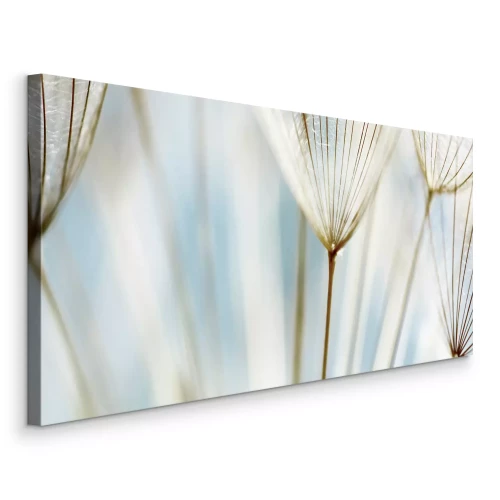 Tableau  Gros plan sur des graines de pissenlit à la lumière