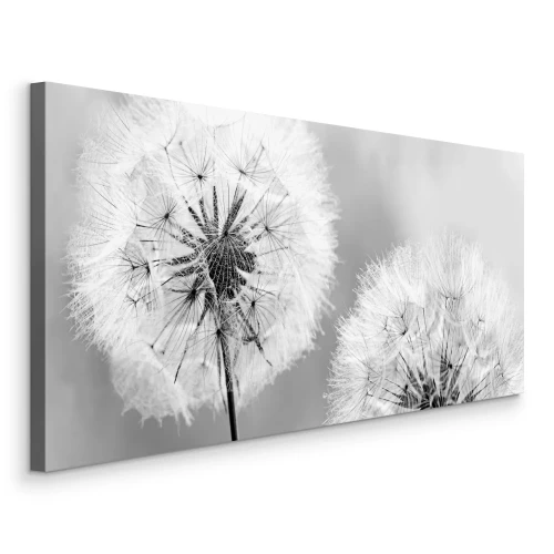 Tableau  Deux pissenlits dans une photo monochrome