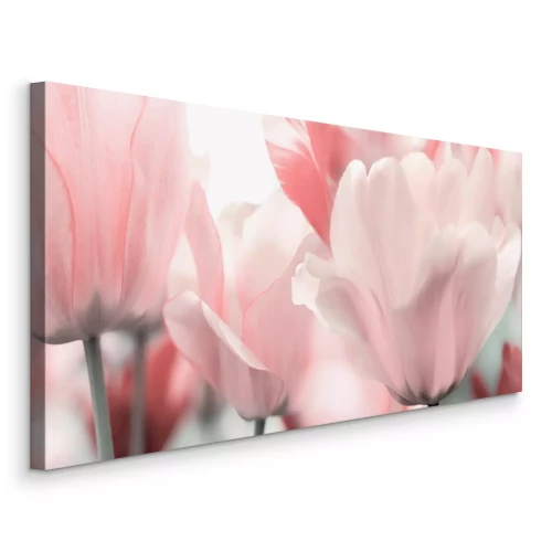 Tableau  Tulipes pastel en fleurs dans des tons de rose