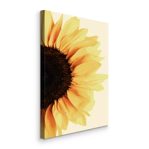 Tableau  Gros plan d'une fleur de tournesol