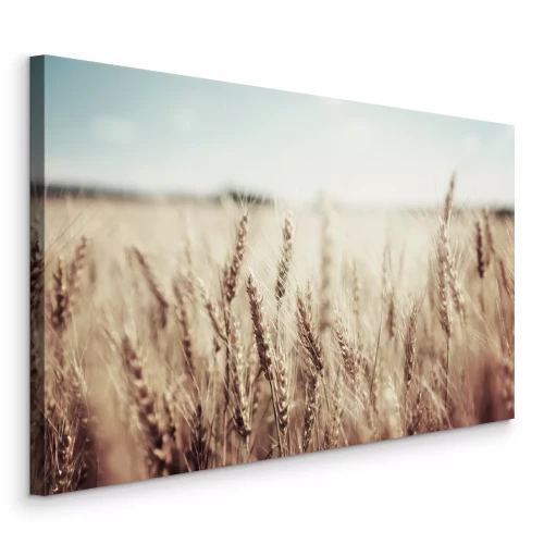 Tableau  Épis de blé sous une douce lumière